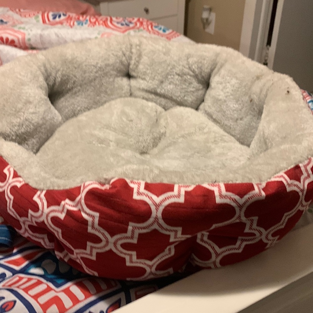 Dog bed
